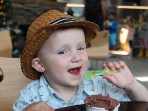 Jackson Chocolate Ice Cream