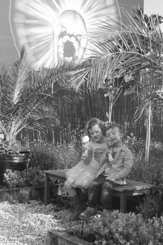 Blog - Babies in CHCH